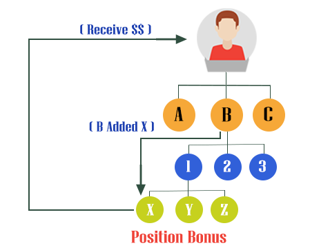 MLM software dashboard